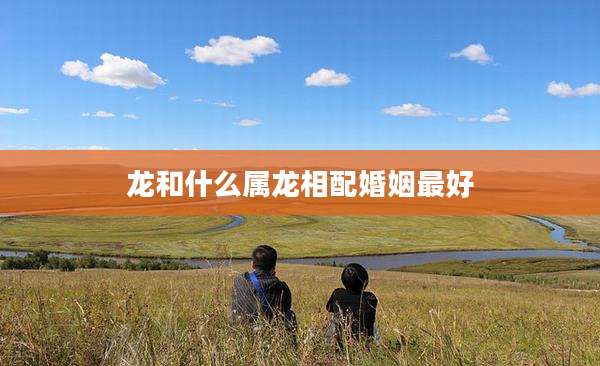 龙和什么属龙相配婚姻最好