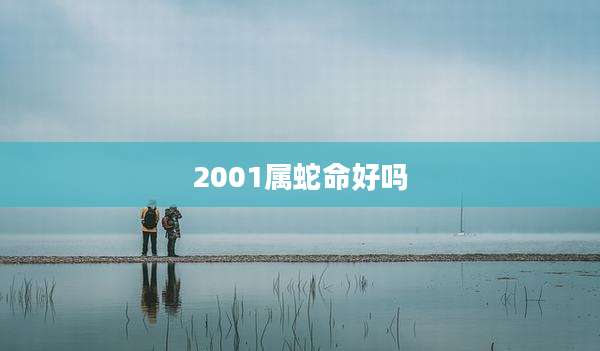 2001属蛇命好吗