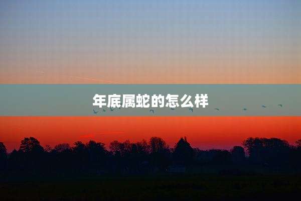 年底属蛇的怎么样