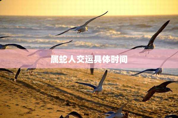 属蛇人交运具体时间