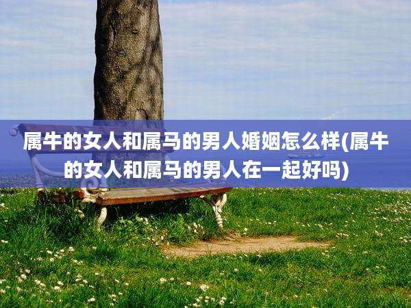 属牛的女人和属马的男人婚姻怎么样(属牛的女人和属马的男人在一起好吗)