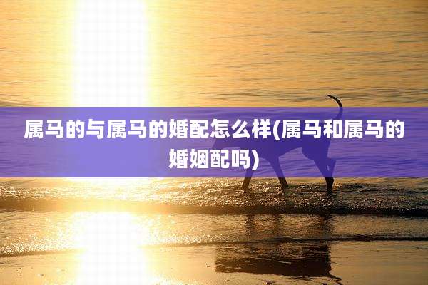 属马的与属马的婚配怎么样(属马和属马的婚姻配吗)
