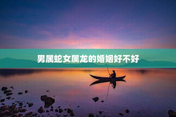 男属蛇女属龙的婚姻好不好