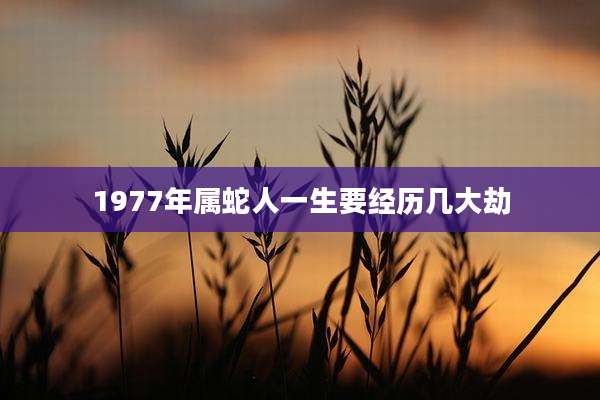 1977年属蛇人一生要经历几大劫