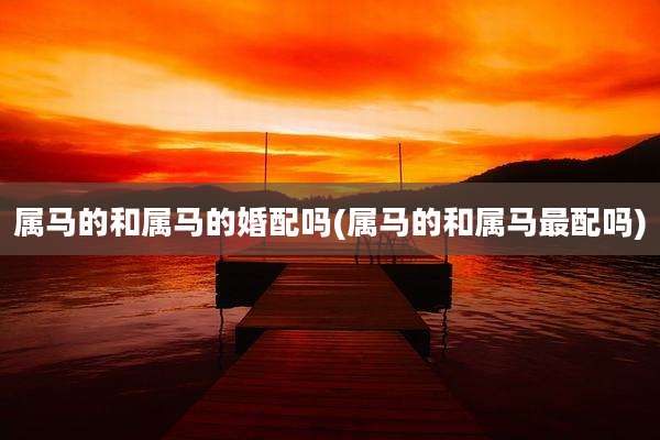 属马的和属马的婚配吗(属马的和属马最配吗)