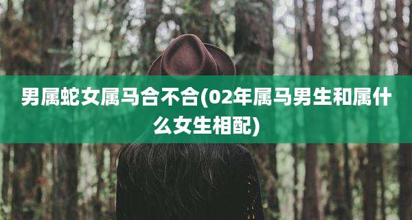 男属蛇女属马合不合(02年属马男生和属什么女生相配)