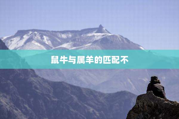 鼠牛与属羊的匹配不