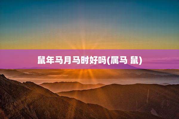 鼠年马月马时好吗(属马 鼠)