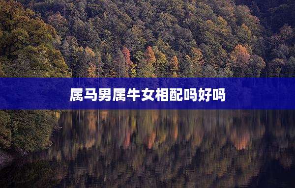 属马男属牛女相配吗好吗