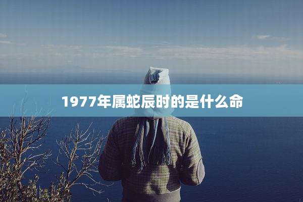 1977年属蛇辰时的是什么命