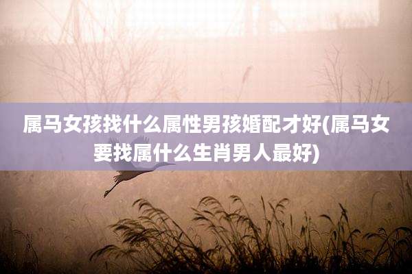 属马女孩找什么属性男孩婚配才好(属马女要找属什么生肖男人最好)