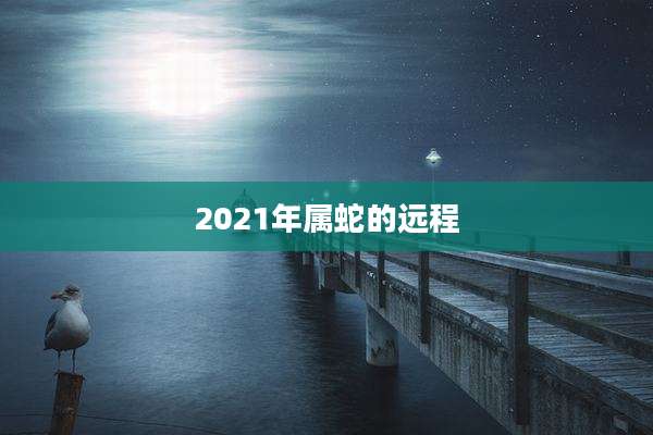 2021年属蛇的远程