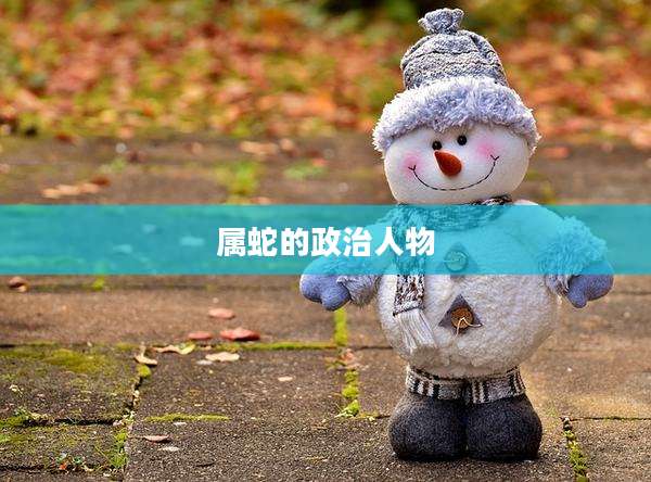 属蛇的政治人物