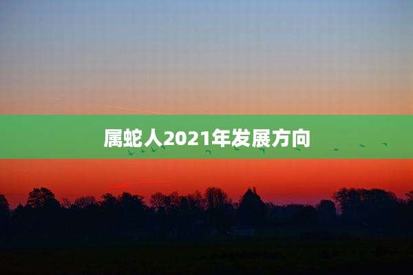 属蛇人2021年发展方向