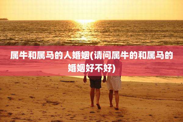 属牛和属马的人婚姻(请问属牛的和属马的婚姻好不好)