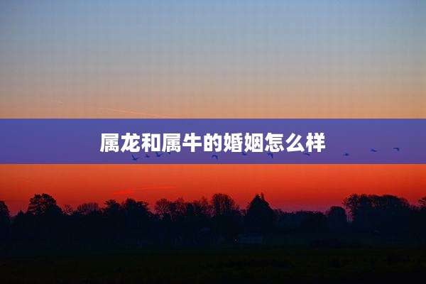 属龙和属牛的婚姻怎么样