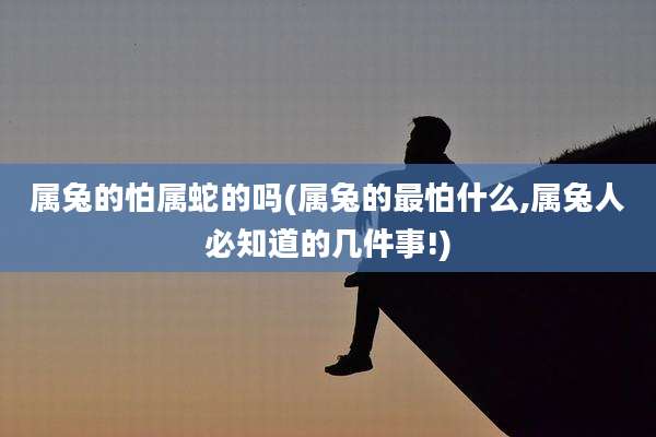 属兔的怕属蛇的吗(属兔的最怕什么,属兔人必知道的几件事!)