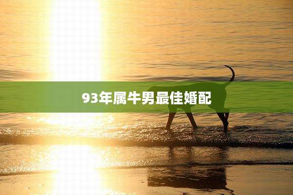 93年属牛男最佳婚配