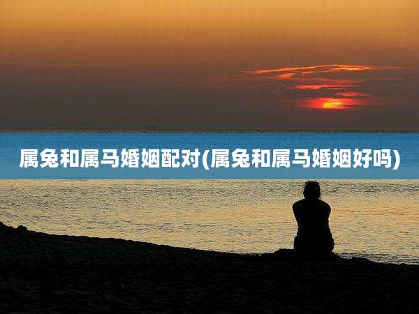 属兔和属马婚姻配对(属兔和属马婚姻好吗)