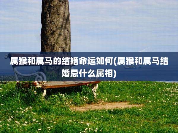 属猴和属马的结婚命运如何(属猴和属马结婚忌什么属相)