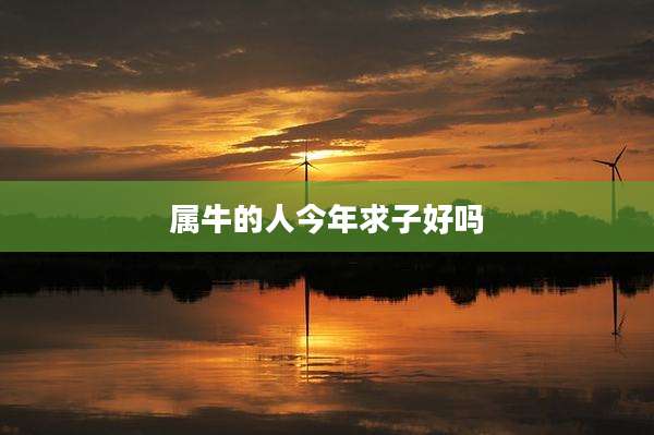 属牛的人今年求子好吗