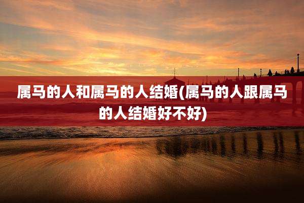 属马的人和属马的人结婚(属马的人跟属马的人结婚好不好)