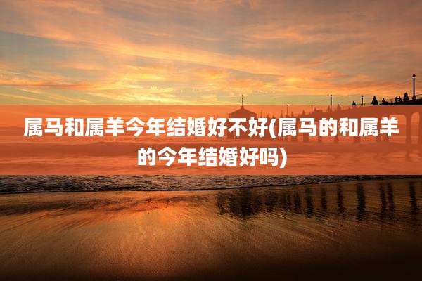 属马和属羊今年结婚好不好(属马的和属羊的今年结婚好吗)