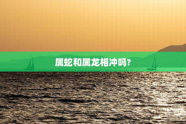 属蛇和属龙相冲吗?