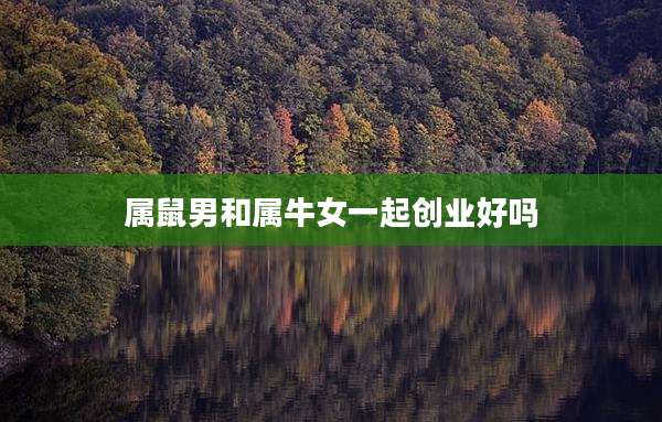 属鼠男和属牛女一起创业好吗