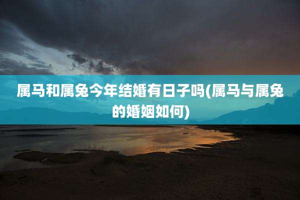 属马和属兔今年结婚有日子吗(属马与属兔的婚姻如何)