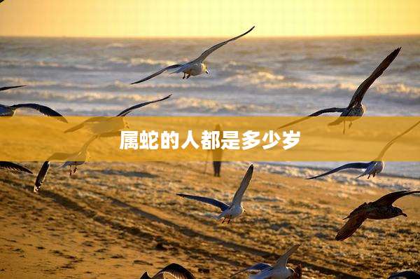 属蛇的人都是多少岁