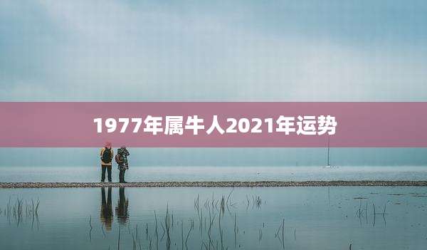 1977年属牛人2021年运势