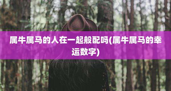 属牛属马的人在一起般配吗(属牛属马的幸运数字)