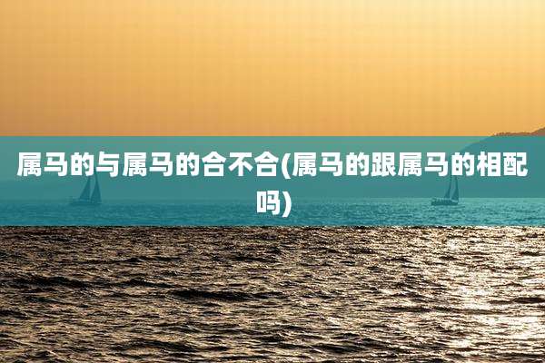 属马的与属马的合不合(属马的跟属马的相配吗)