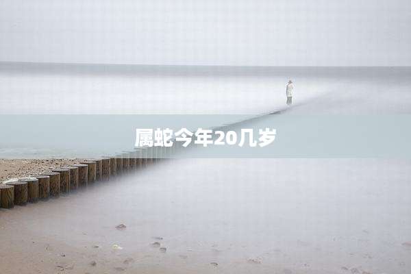 属蛇今年20几岁