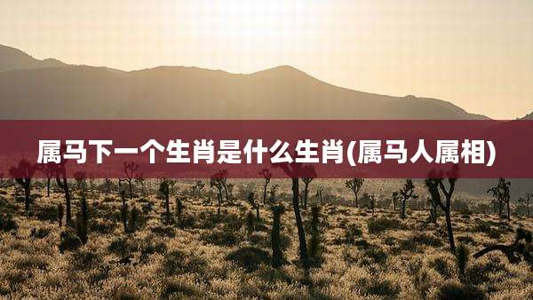 属马下一个生肖是什么生肖(属马人属相)