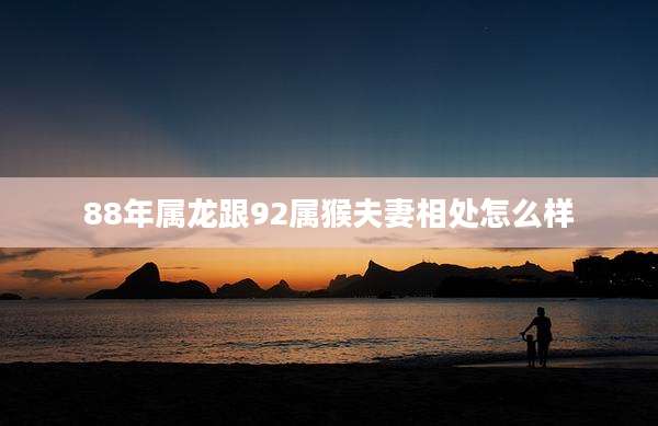 88年属龙跟92属猴夫妻相处怎么样