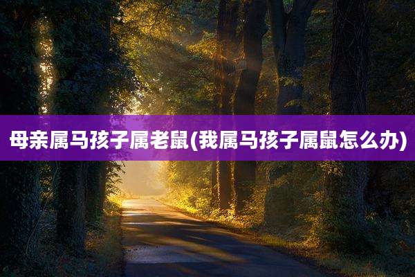 母亲属马孩子属老鼠(我属马孩子属鼠怎么办)