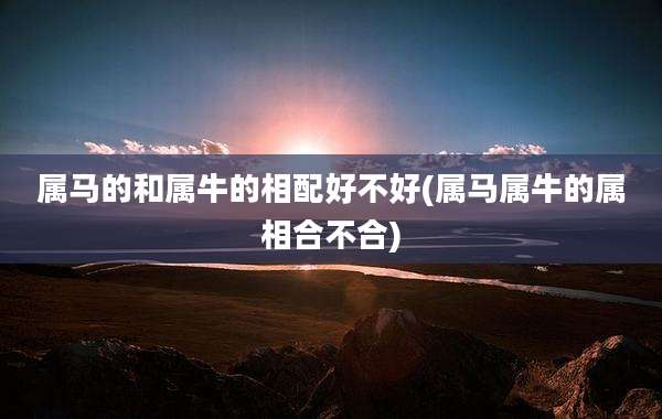 属马的和属牛的相配好不好(属马属牛的属相合不合)