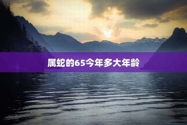 属蛇的65今年多大年龄