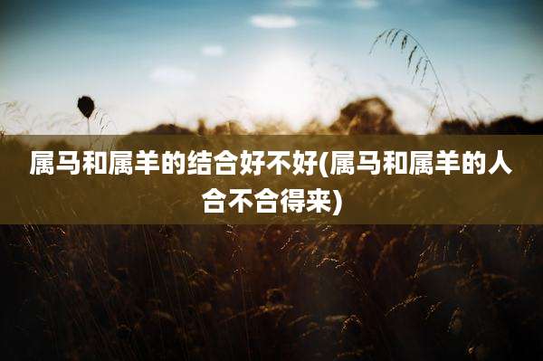 属马和属羊的结合好不好(属马和属羊的人合不合得来)