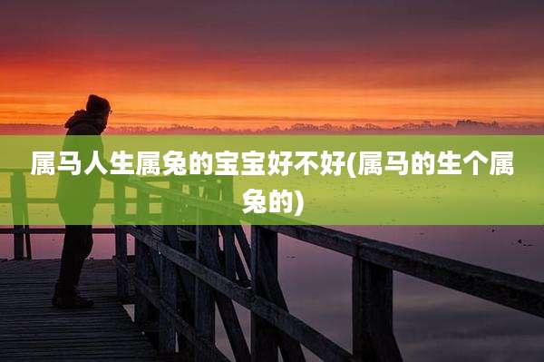 属马人生属兔的宝宝好不好(属马的生个属兔的)