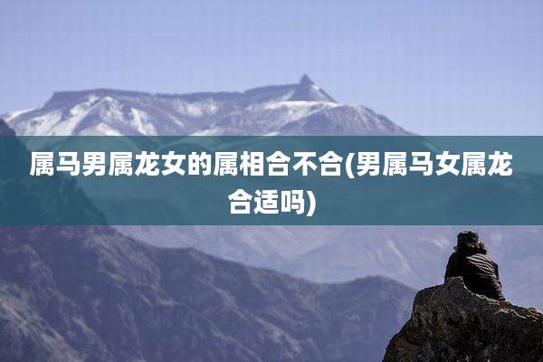 属马男属龙女的属相合不合(男属马女属龙合适吗)