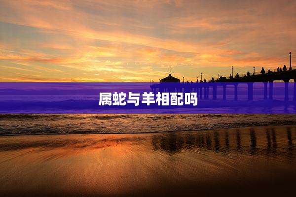 属蛇与羊相配吗