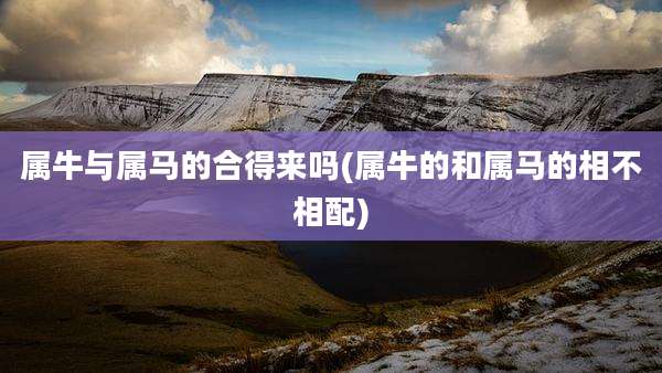 属牛与属马的合得来吗(属牛的和属马的相不相配)