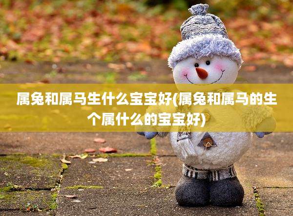 属兔和属马生什么宝宝好(属兔和属马的生个属什么的宝宝好)