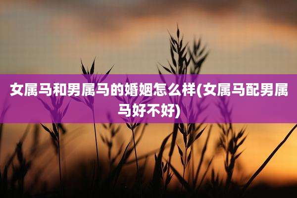 女属马和男属马的婚姻怎么样(女属马配男属马好不好)