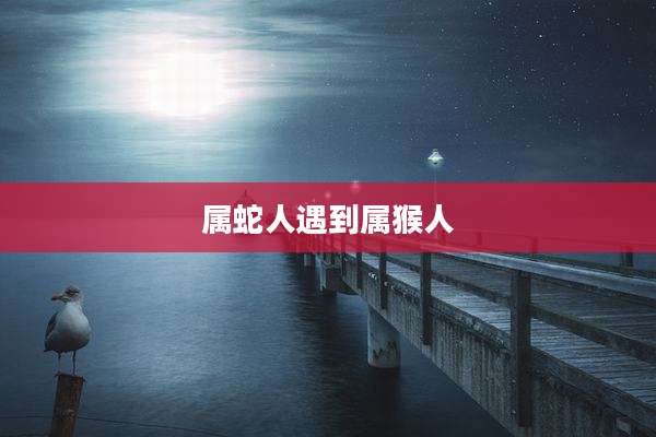 属蛇人遇到属猴人