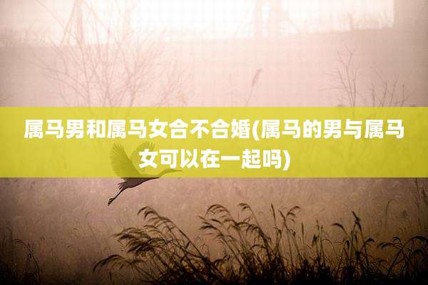 属马男和属马女合不合婚(属马的男与属马女可以在一起吗)