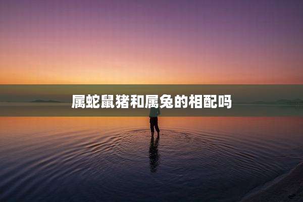 属蛇鼠猪和属兔的相配吗